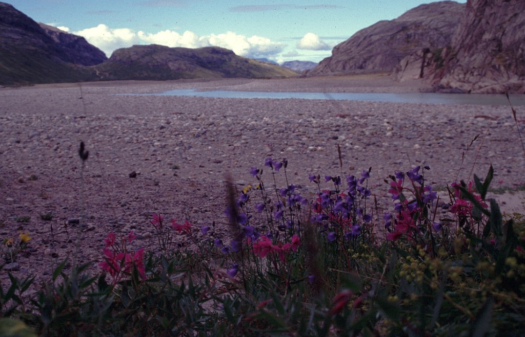 the valley formed by the glacier Kuussuup